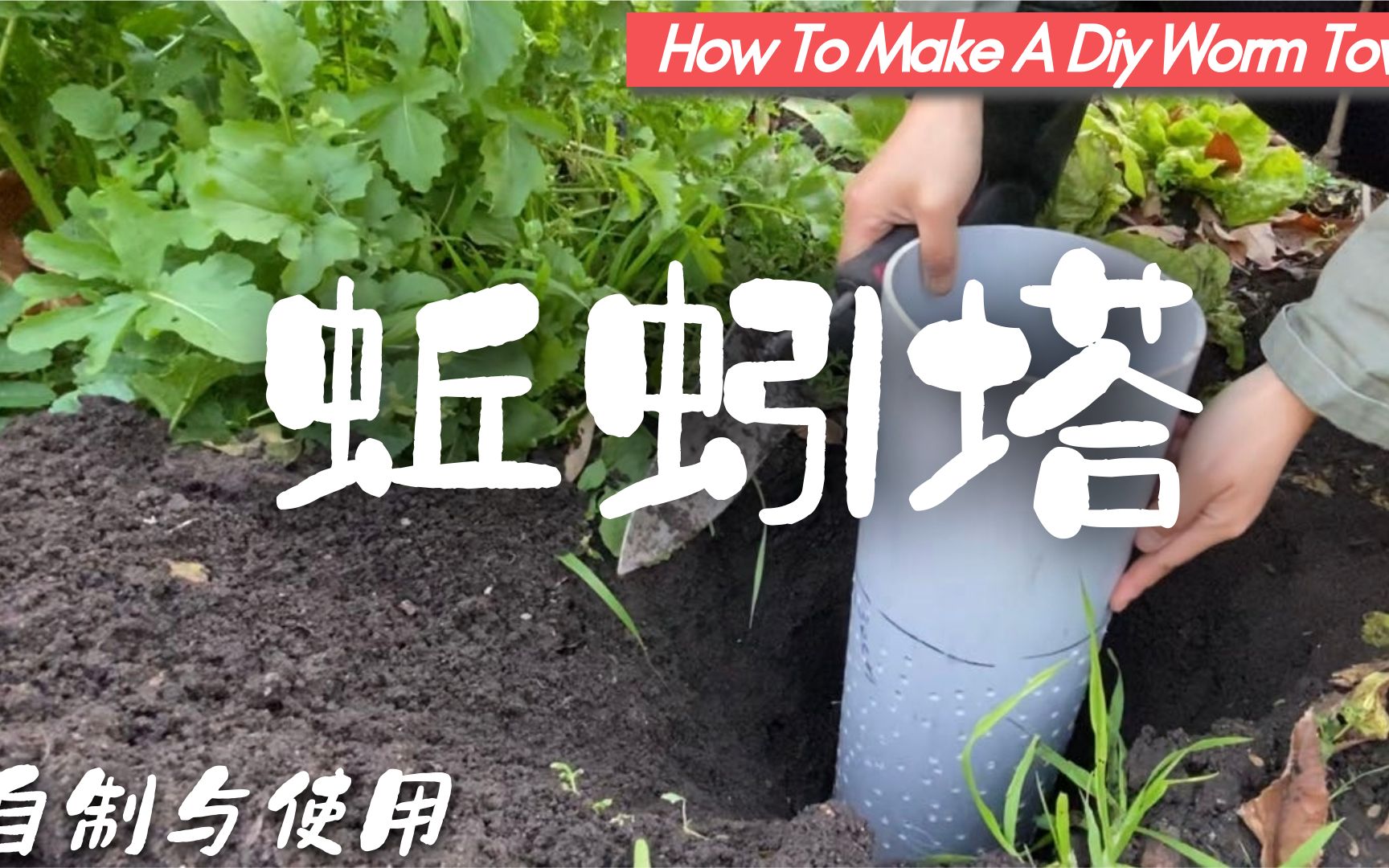 自制蚯蚓塔(虫塔)不花钱,花小钱完美改良土壤,肥沃土壤的好方法!