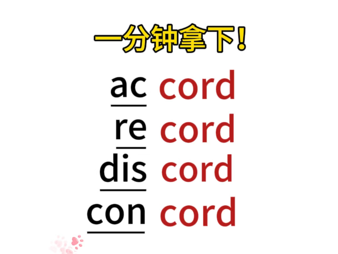 单词串记“cord”词根哔哩哔哩bilibili