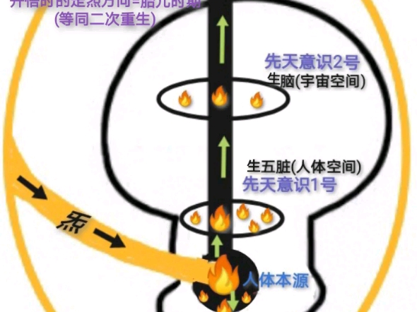 开悟同频共振时,炁的运行方向=胎儿时期,不亚于二次重生哔哩哔哩bilibili