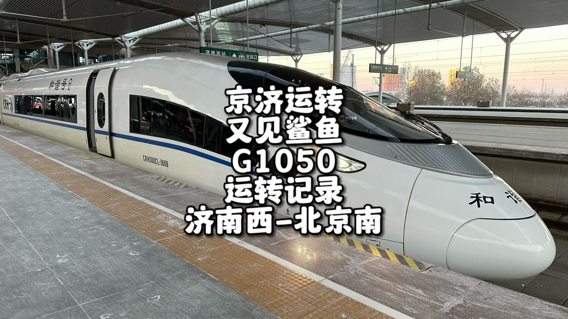 crh380cl鲨鱼图片