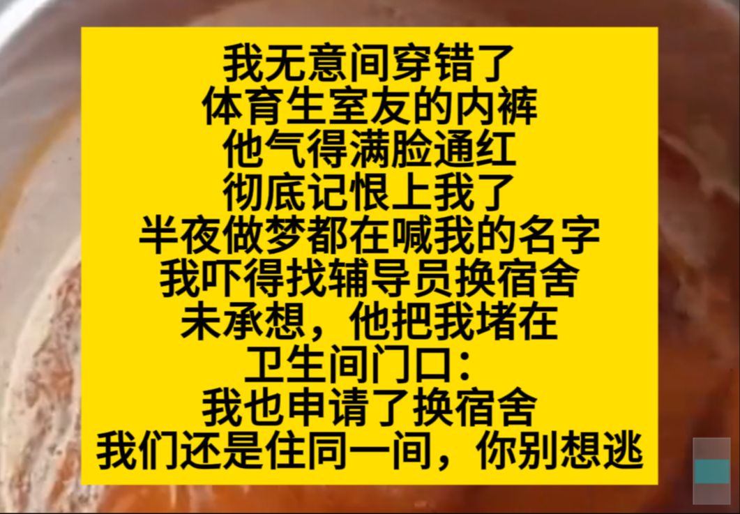 双男主 我无意间穿戳了体育生室友的内裤,他气的满脸通红,我怕得换宿舍,结果他也过来了……小说推荐哔哩哔哩bilibili