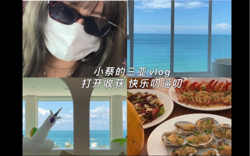 【小蔡の三亚vlog】和闺蜜 毕业旅行/海南 三亚 天涯镇 椰梦长廊/看海 聊天哔哩哔哩bilibili