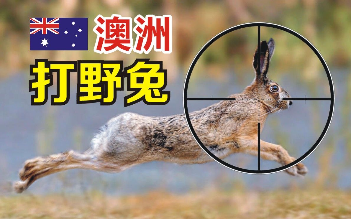 打野兔,一枪崩飞(爆头狩猎 三星皮)_哔哩哔哩_bilibili