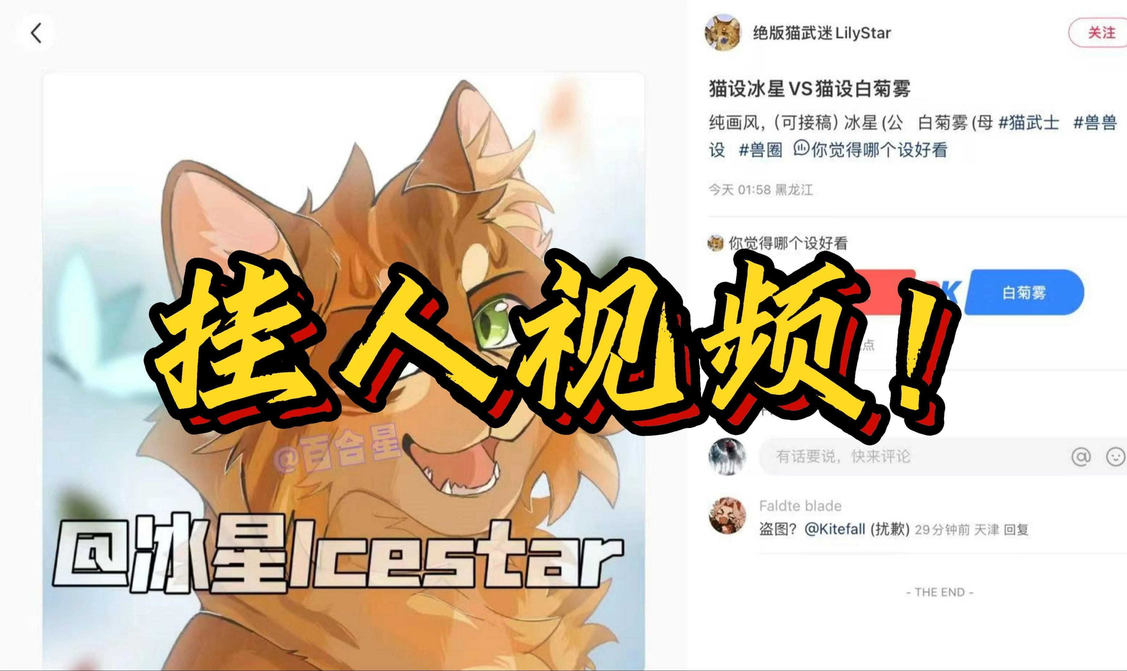 挂人条——详细完整版(视频版)哔哩哔哩bilibili