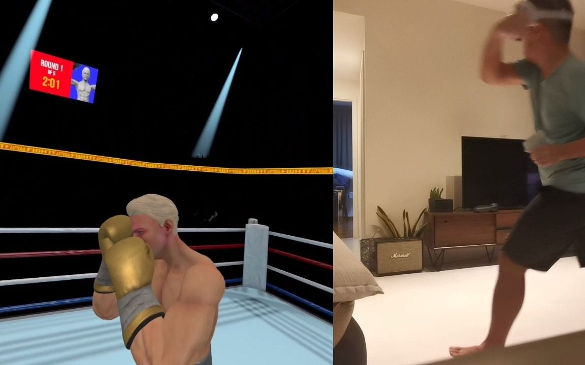 [图]虚拟现实拳击 (Thrill Of The Fight) VR Boxing vs Moneymaker (Outclassed)