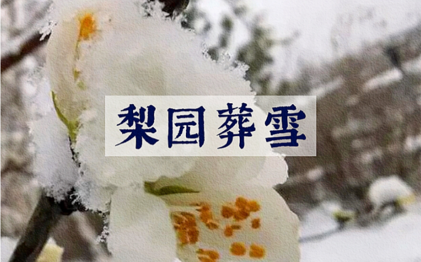 [图]【苏瑾】梨园葬雪（正太音翻唱）