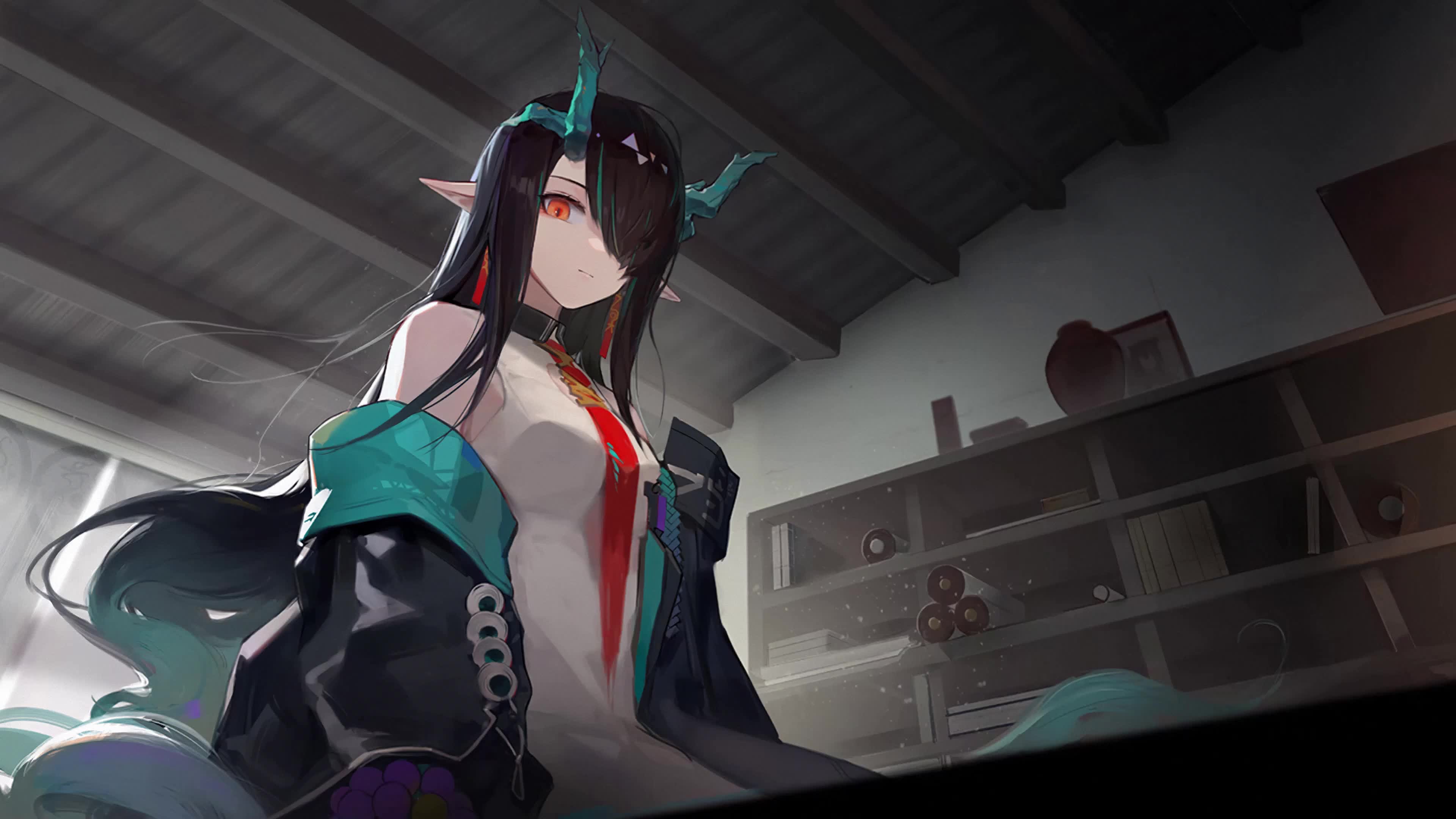 【4k/60fps】动态壁纸