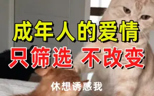 Download Video: 【半佛】成年人的爱情，只筛选不改变