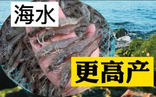 Video herunterladen: 工厂化水产养殖：为什么说海水比淡水更适合高密度工厂化养虾？