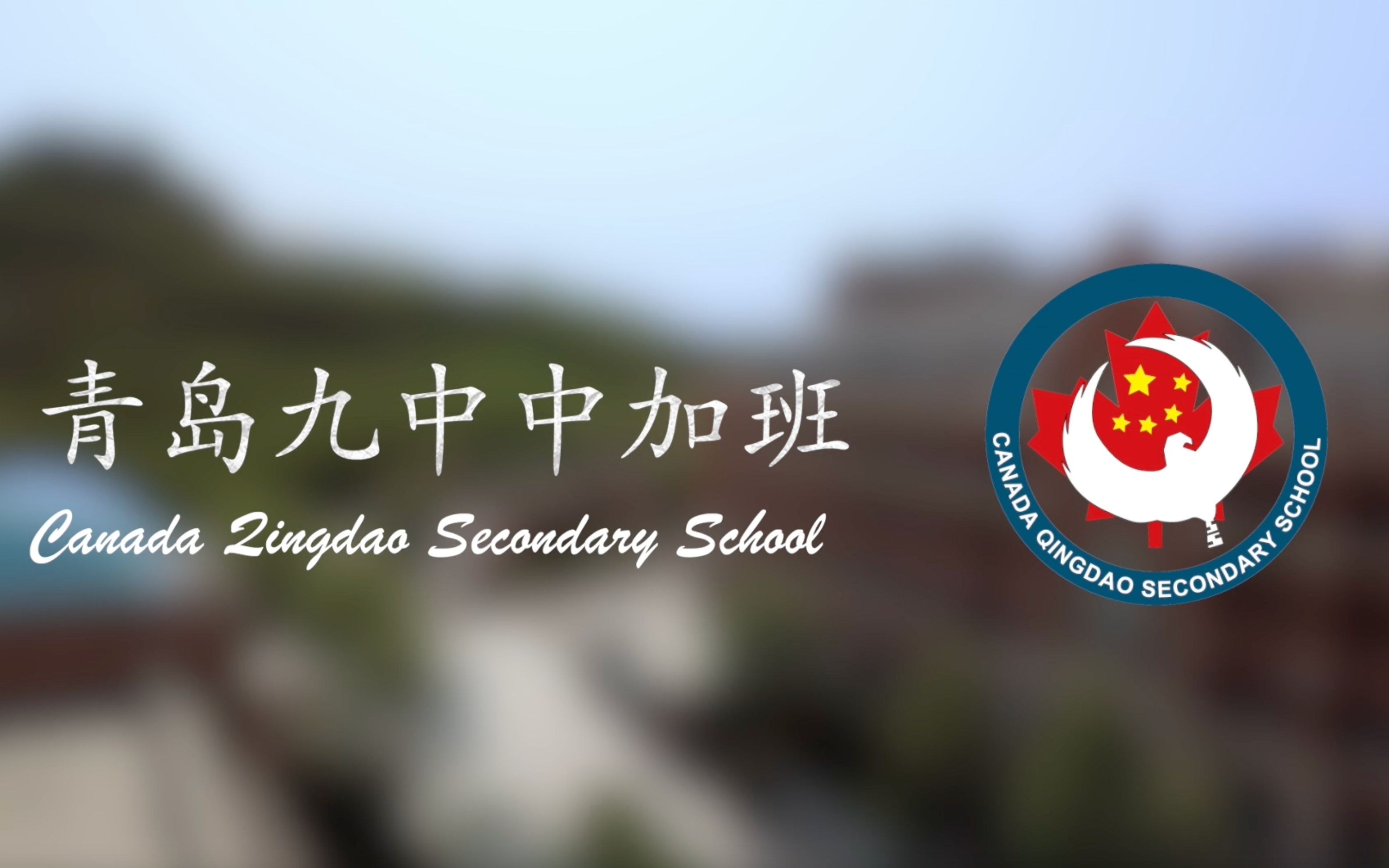 天津市第九中学校徽图片