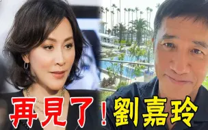 Télécharger la video: 刘嘉玲官宣离婚！与梁朝伟财产分割完毕！ 17年婚姻正式告吹！#星娱乐