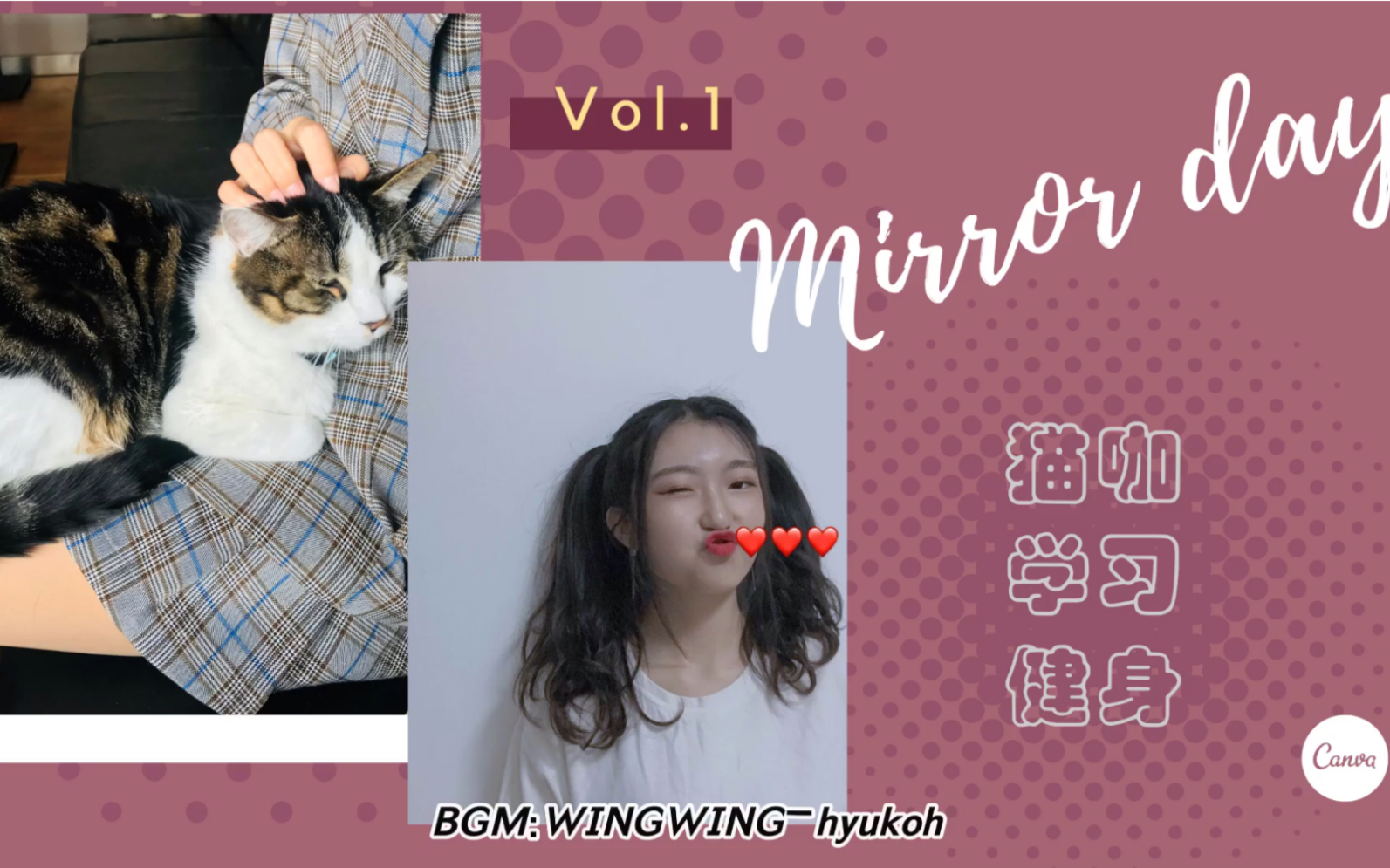 mirrorsvlog学习撸猫健身超级粘人猫咪上线