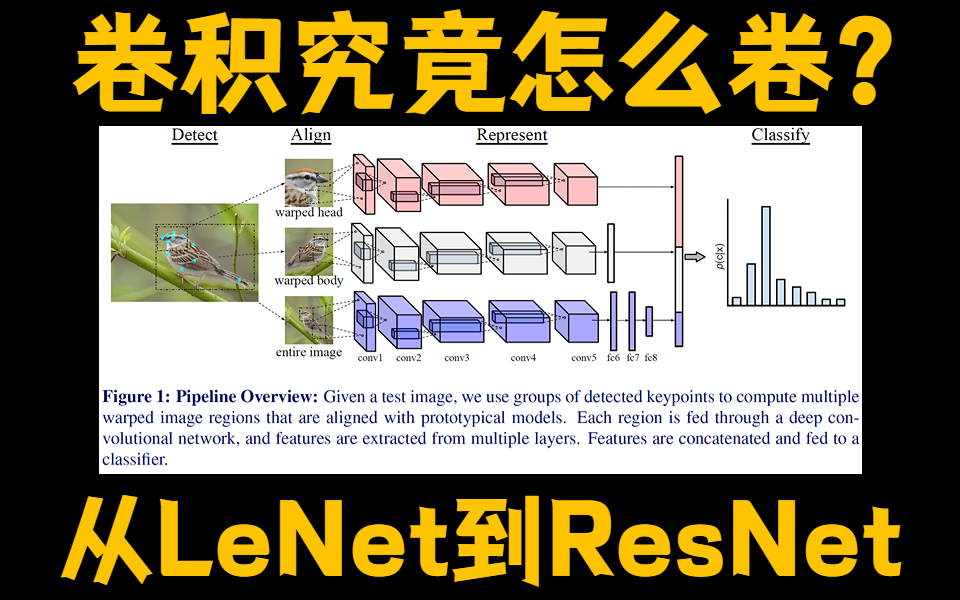 从LeNet到ResNet,大佬2小时带你深入浅出:卷积神经网络的基础原理与实现,草履虫都能看懂的CNN理论详解与项目实战!哔哩哔哩bilibili