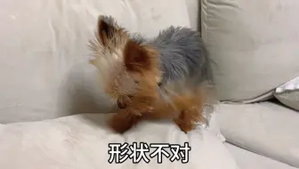 宝宝的小手可以改变世界！