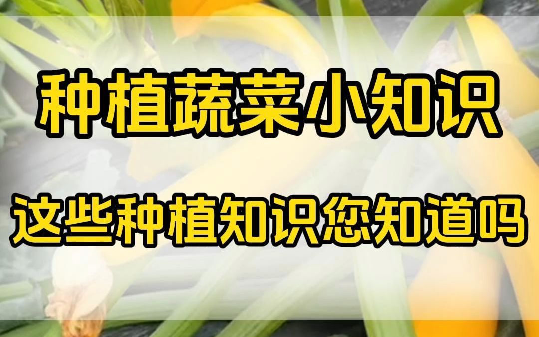 种植蔬菜小知识这些种植知识您知道吗