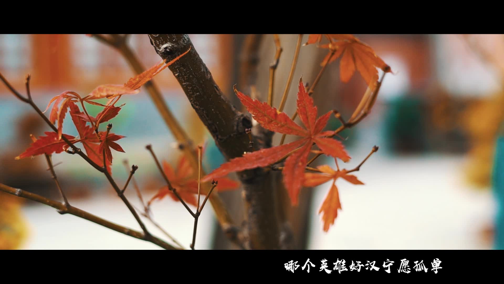 [图]不如和我云体验香山风景