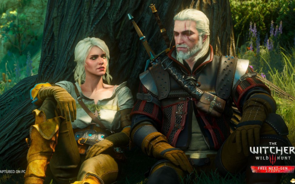 巫师3次世代绅士mod200个!整合80g魔法咒语 上帝模组 多人伴侣等!