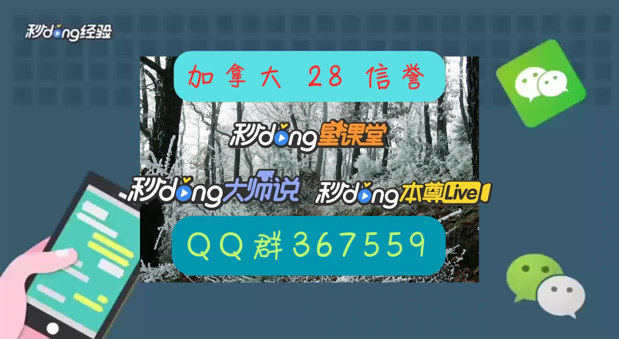 5分钟了解加拿大pc2.8怎么玩