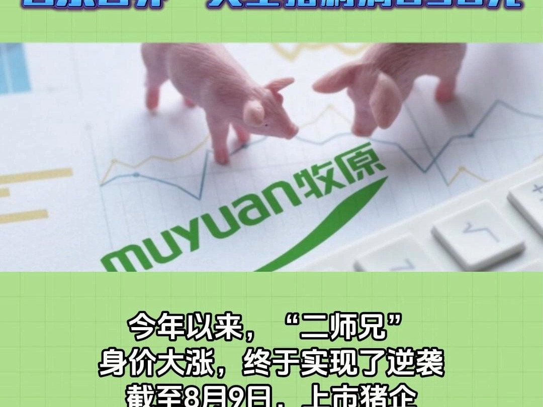 牧原股份日赚4个亿,自繁自养一头生猪利润850元哔哩哔哩bilibili