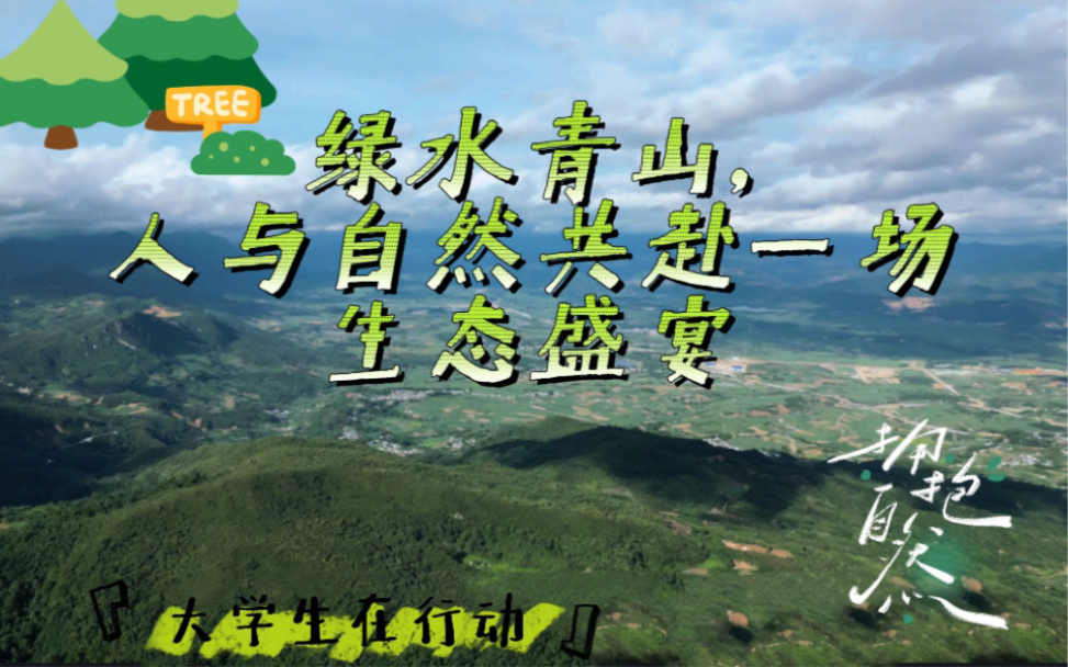 【大学生在行动】中缅边境森林研学之行——第三章:甜美耿马哔哩哔哩bilibili