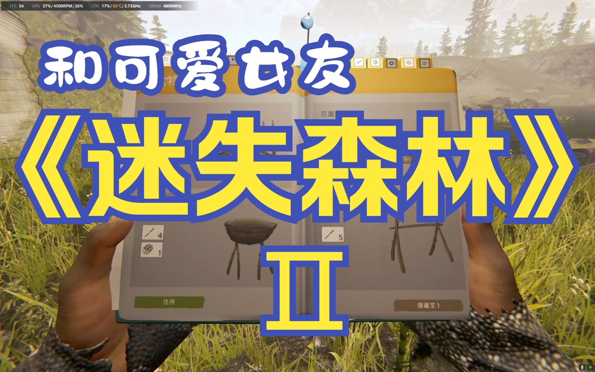 【迷失森林】和女友的幸福生存 2