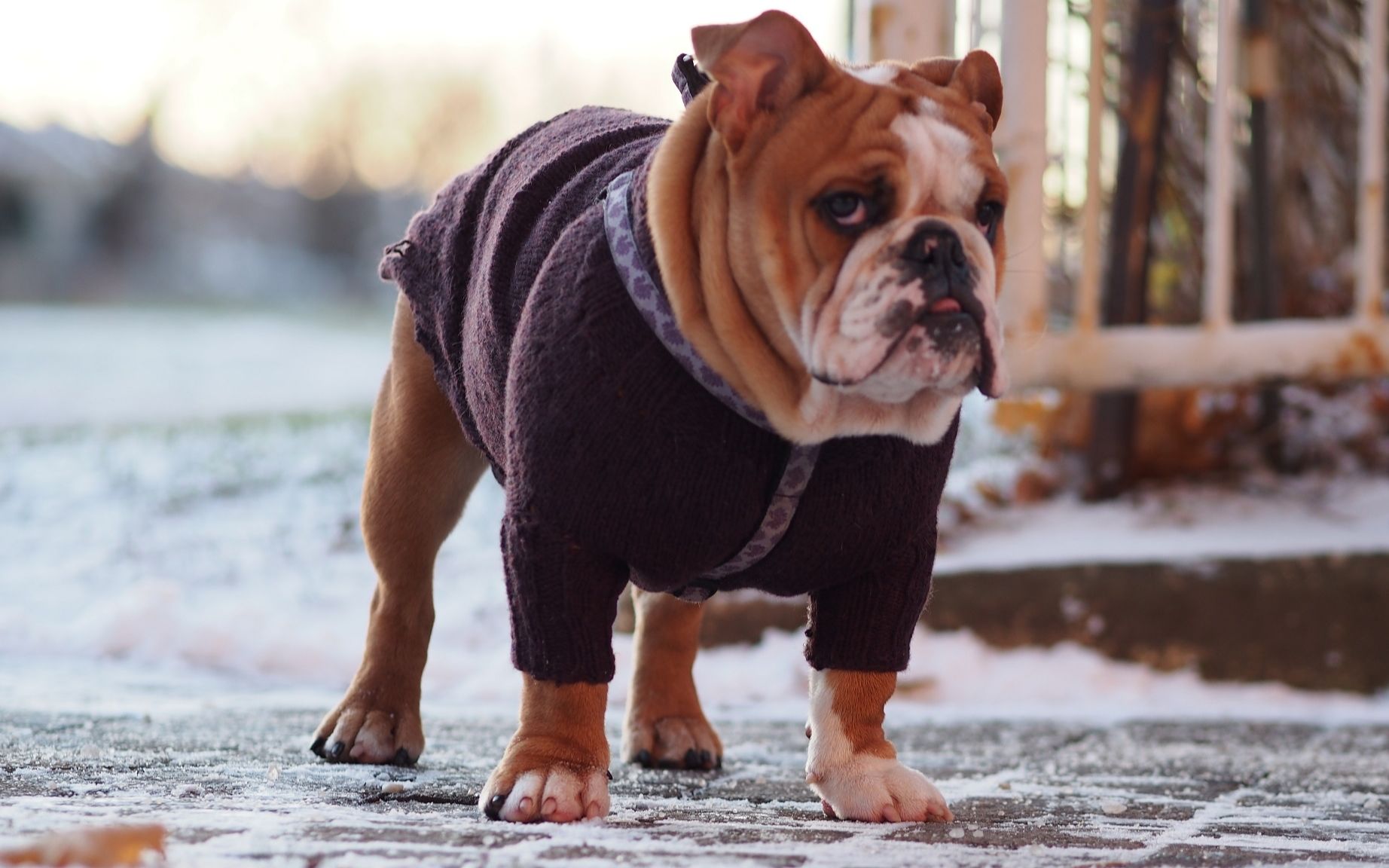 17年最欠揍的人_哔哩哔哩 (゜-゜)つロ 干杯~-bilibili