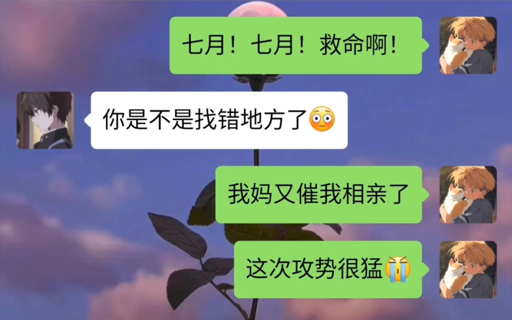 可以是木讷的树 也可以是自由的风哔哩哔哩bilibili