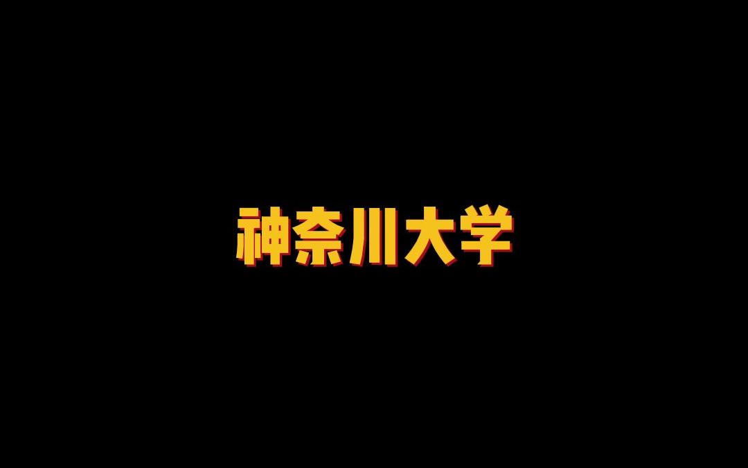 著名综合性私立大学——神奈川大学哔哩哔哩bilibili