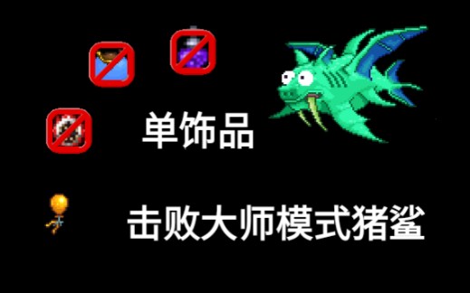 泰拉瑞亚禁重力坐骑冲刺单饰品击败大师猪鲨
