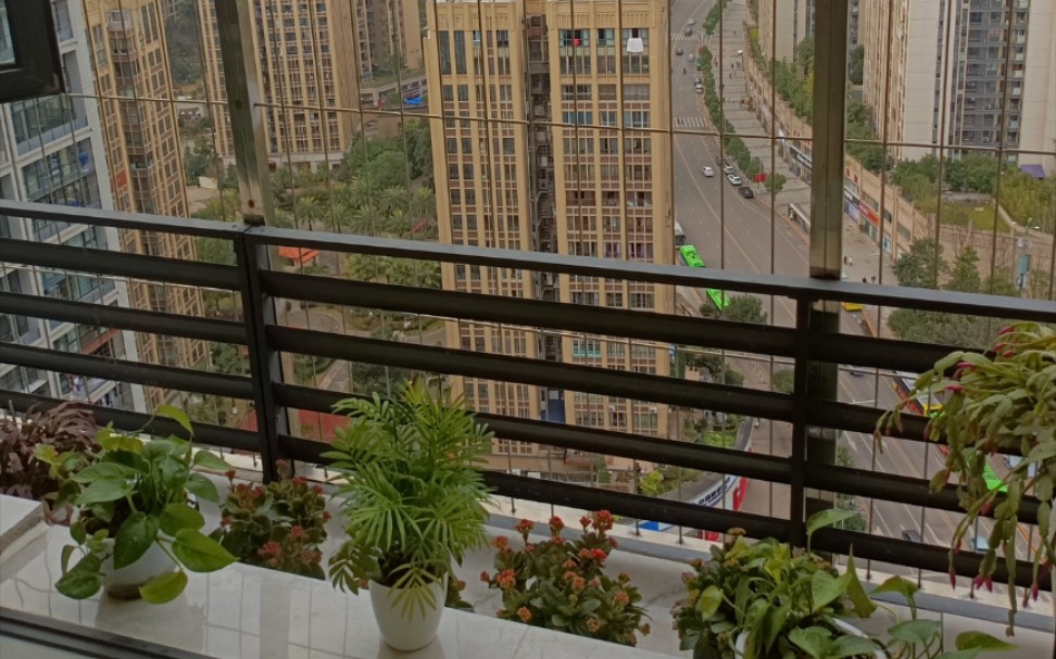 重庆万州长江之星—我的家