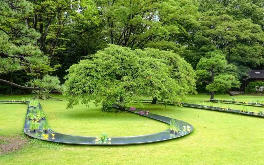 【x景观】妹岛和世超赞新作,水明|日本 61 滨离宫