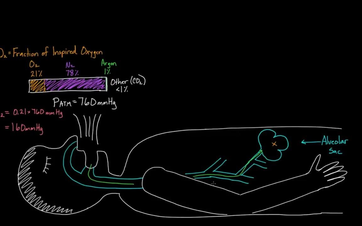 【英字】Alveolar gas equation  part 1 | Respiratory system physiology | NCLEXRN哔哩哔哩bilibili