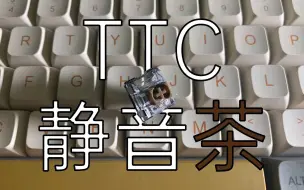 下载视频: 「试轴体验报告」“你们想要的静音茶”TTC静音茶轴体验【50】