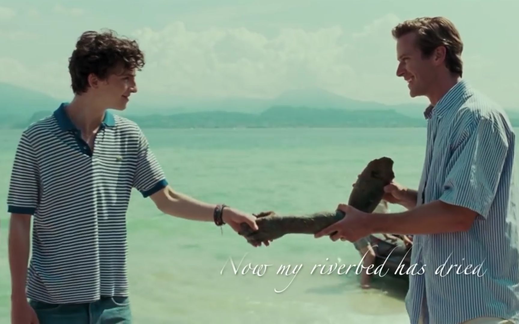 mystery of love 请以你的名字呼唤我 《 call me by your name》电影