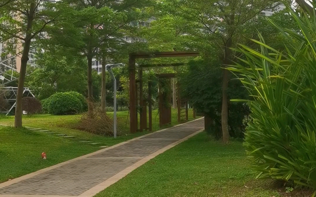 深圳红树林湿地公园里散散步,吹吹海风,安静舒适