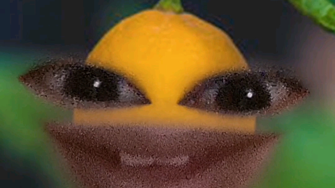 五官特效之柠檬x1