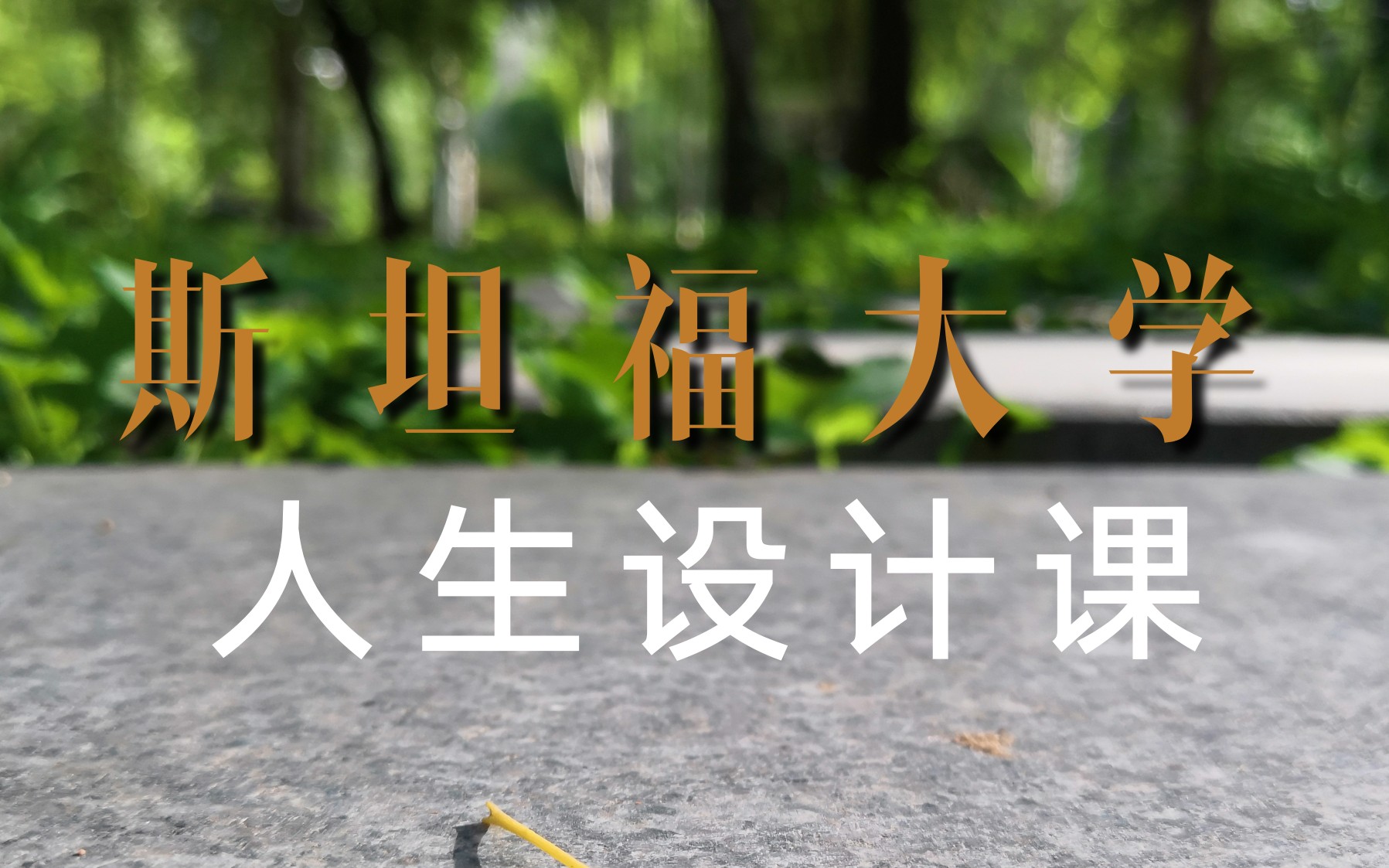 [图]【斯坦福大学人生设计课】序言