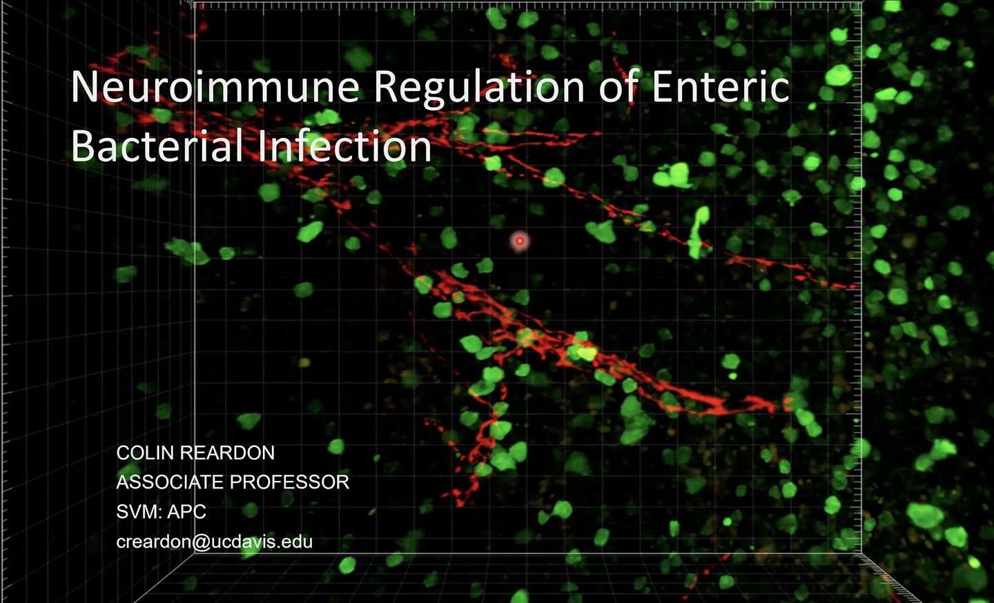 Hostprotective Neuroimmune Circuits during enteric bacterial infection哔哩哔哩bilibili