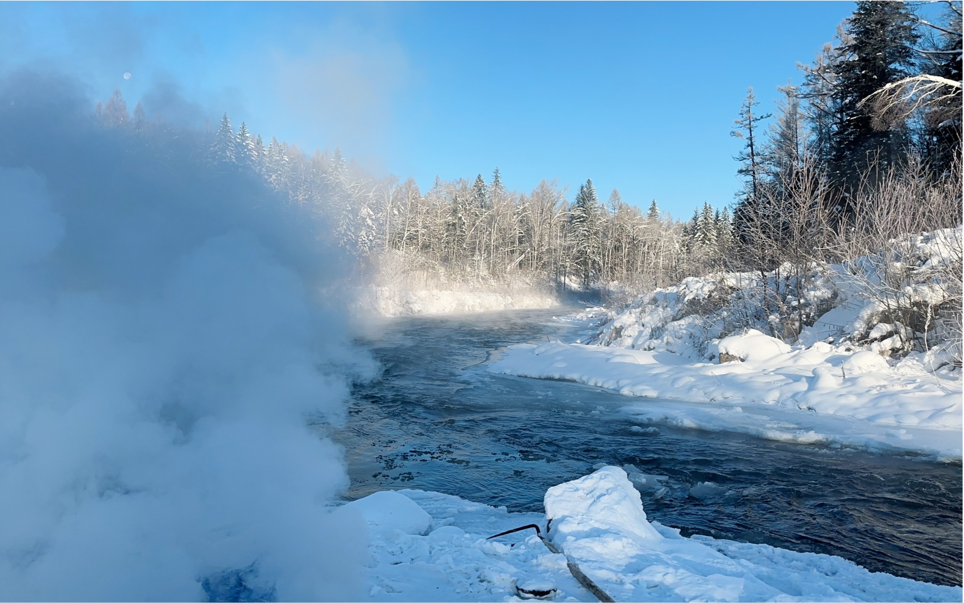 晨曦中走进有雾的森林