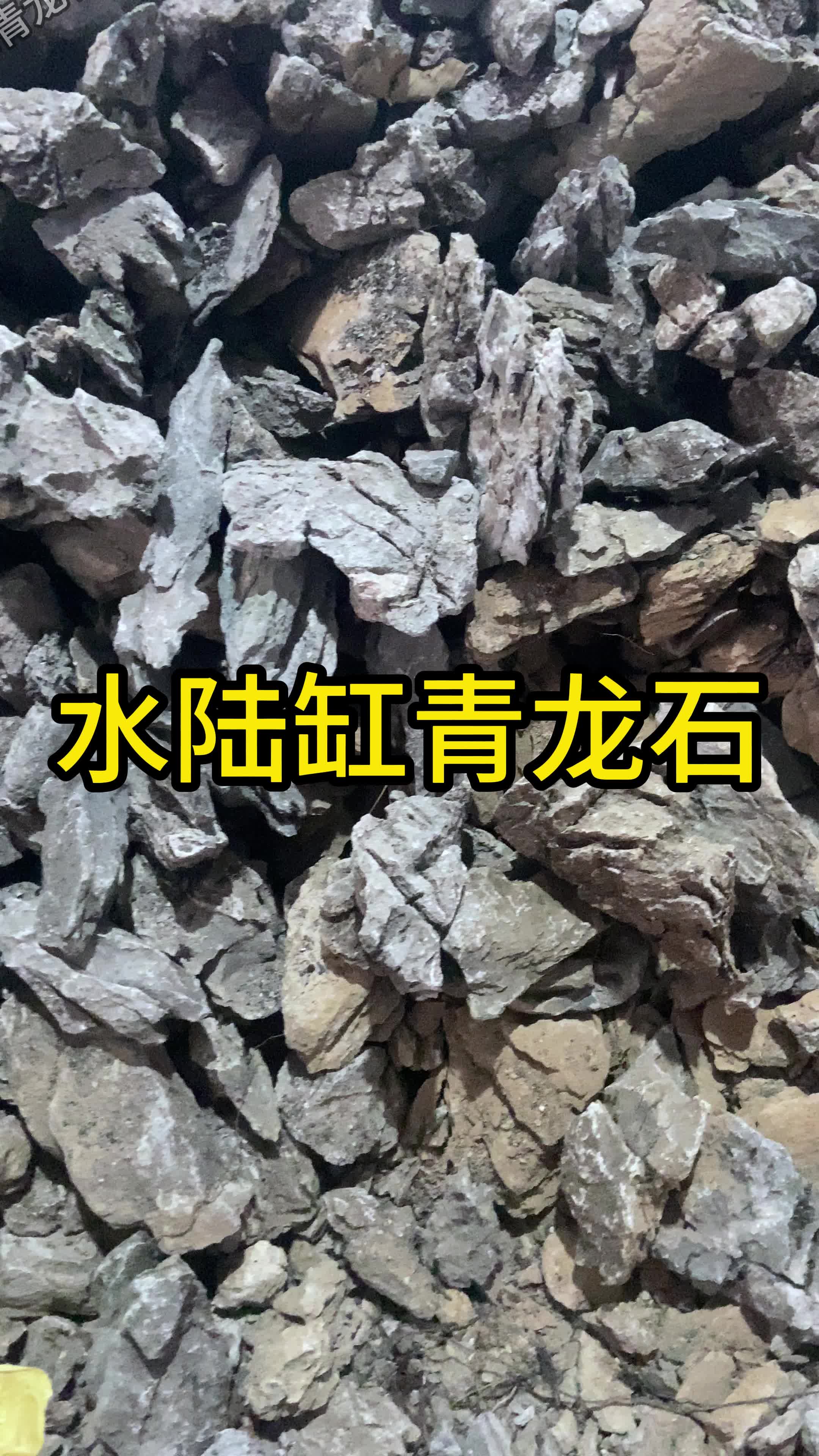 60缸青龙石摆放技巧图片