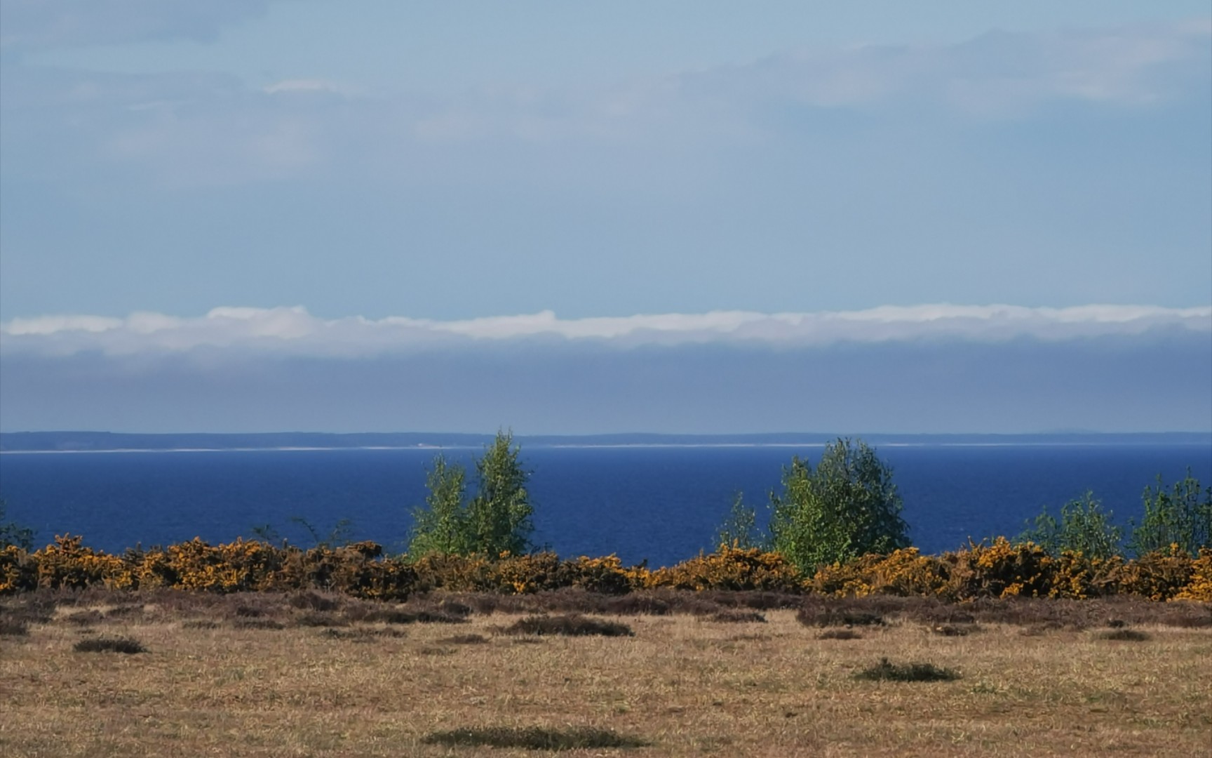 沿海踏春—瑞典南部斯科纳省小镇徒步_哔哩哔哩_bilibili