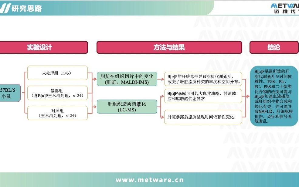 【文献解读】脂质组学及质谱成像解析环境污染物对小鼠肝毒性——迈维代谢哔哩哔哩bilibili