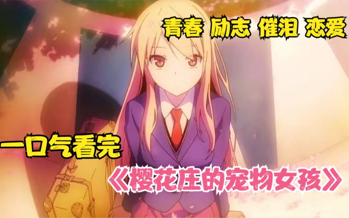 一个半小时看完《樱花庄的宠物女孩》：不知道这部十年前的青春动漫，能否再次让你感动或遗憾