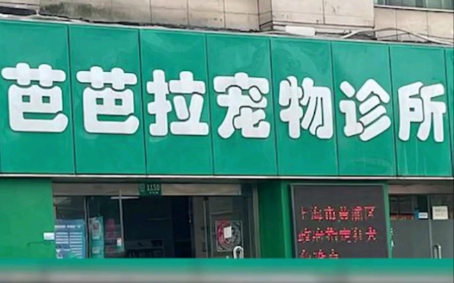 《盘点现实与原神联动的店铺名!》原神