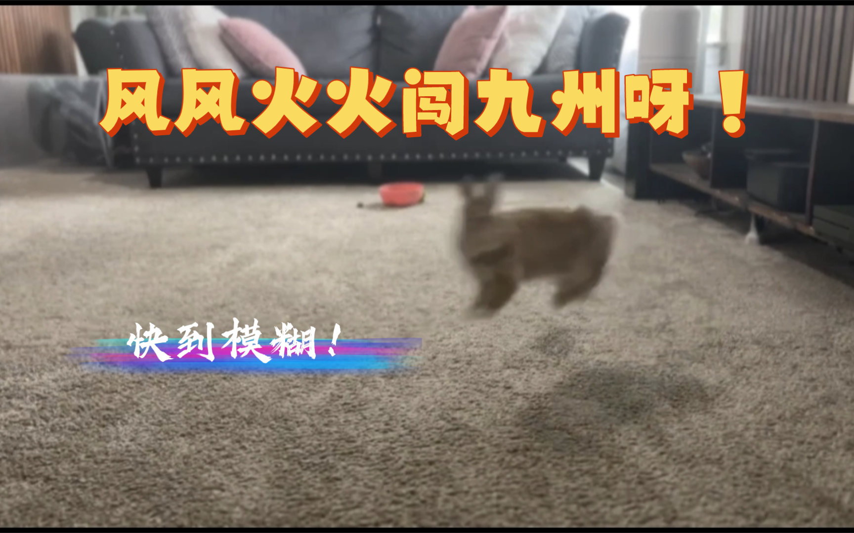 风风火火闯九州呀