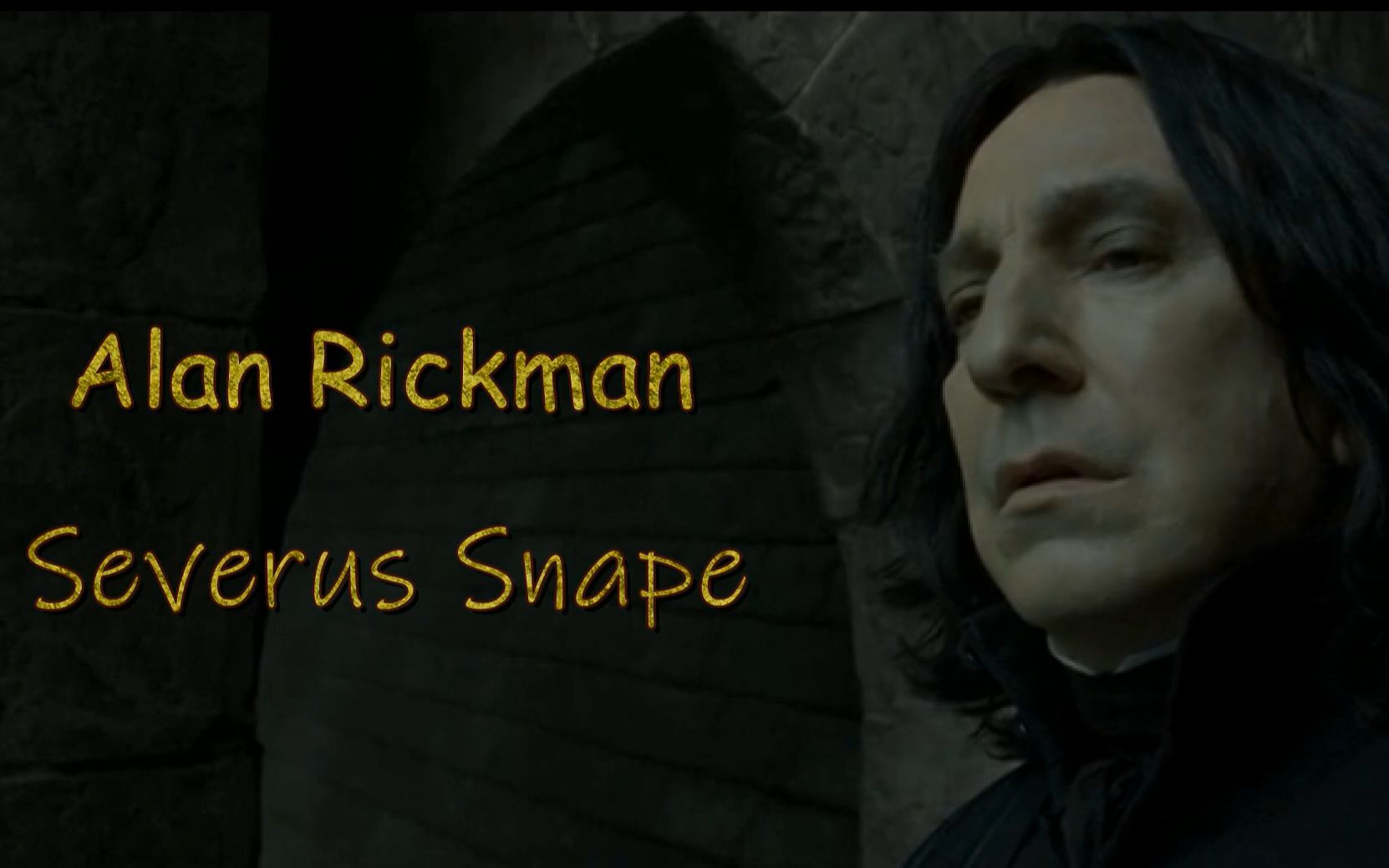 【斯内普同人授权】Snape's Birthday哔哩哔哩bilibili