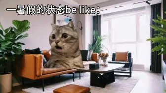 一暑假的状态be like