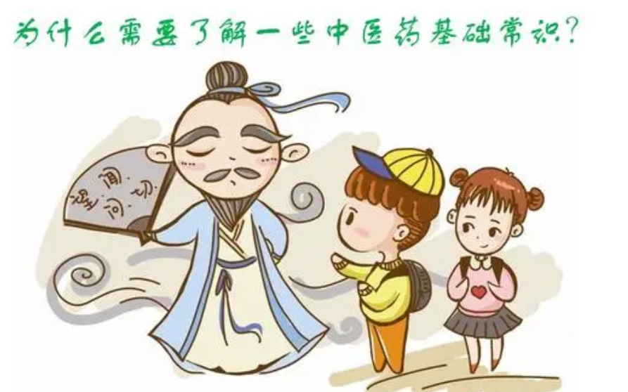 看动画 学中医 中医基础-中药概论 通俗易懂
