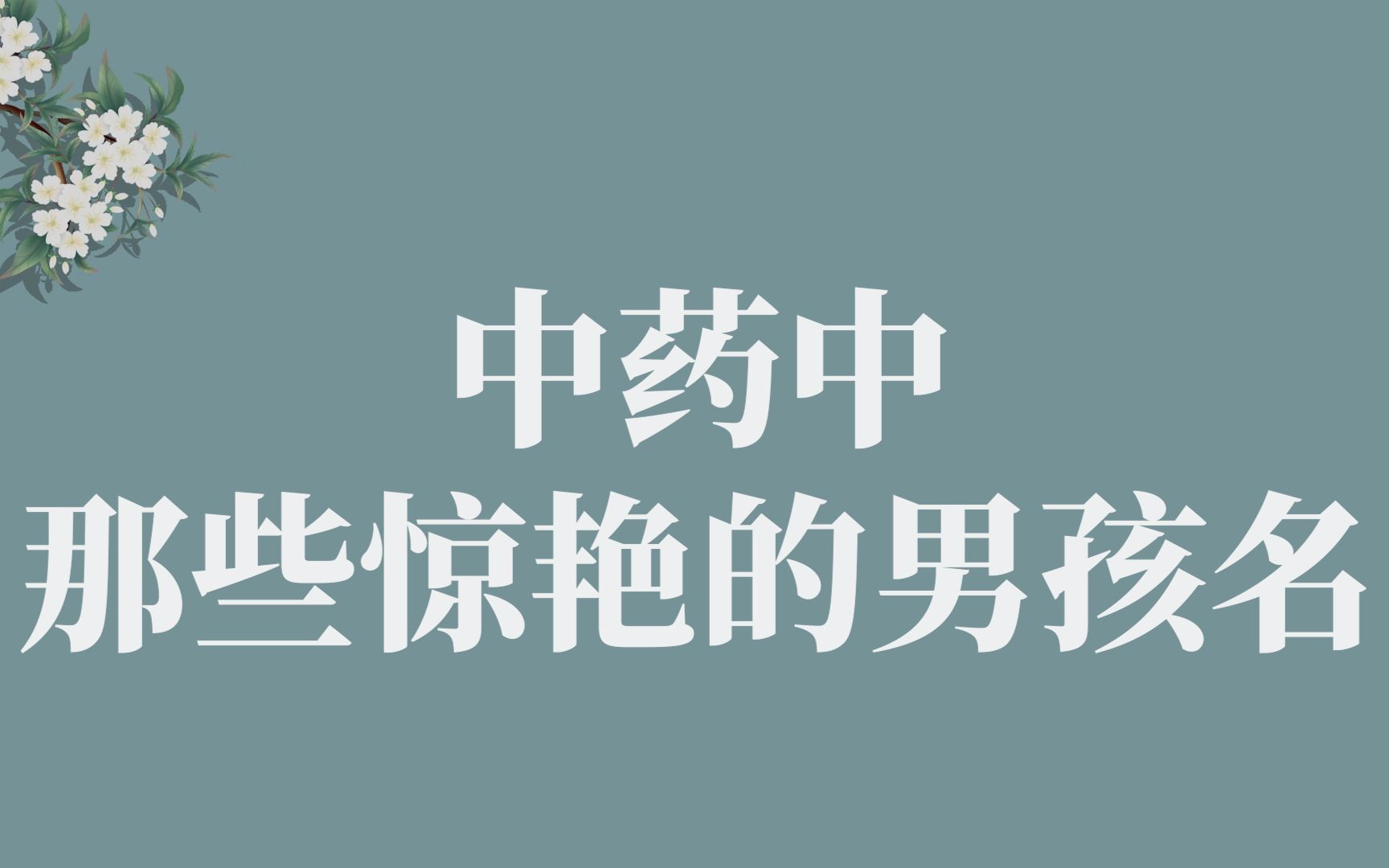 【中国式浪漫】那些藏在中草药中的文雅男孩名 || 收藏备用哔哩哔哩bilibili