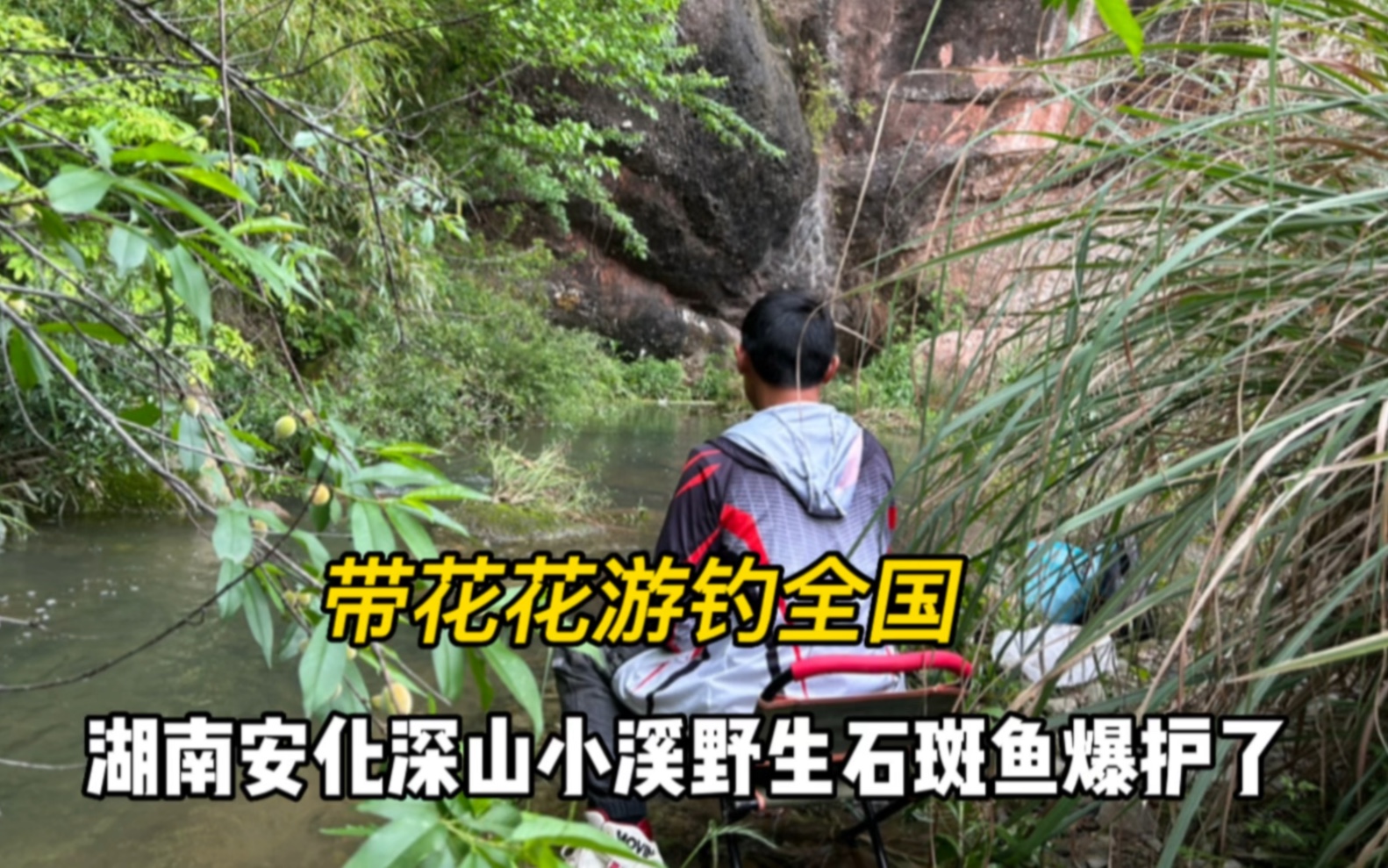 湖南安化深山小溪野生石斑鱼太泛滥了,新手小白竟然也狂拉爆护了哔哩哔哩bilibili